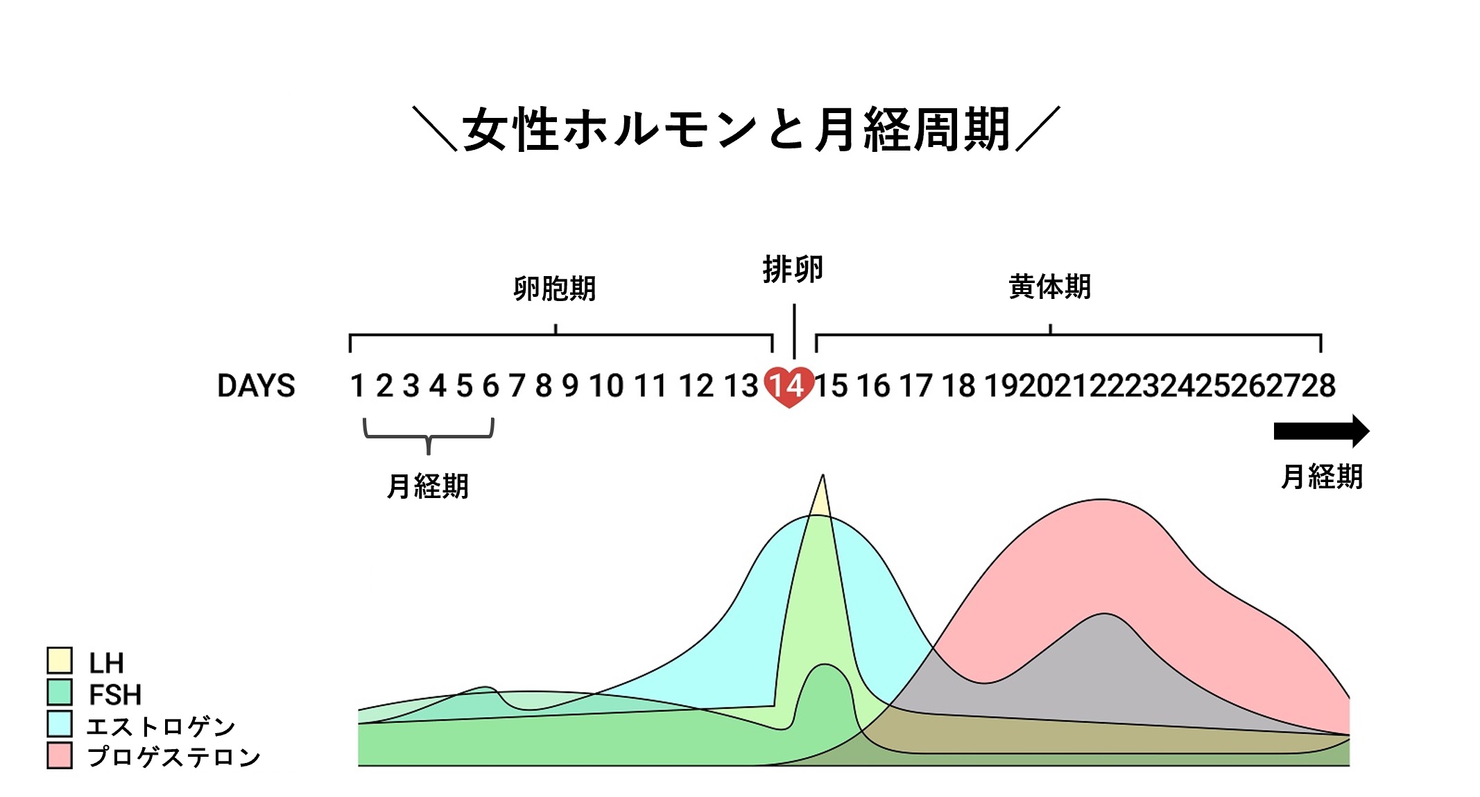 排卵 痛 痛い