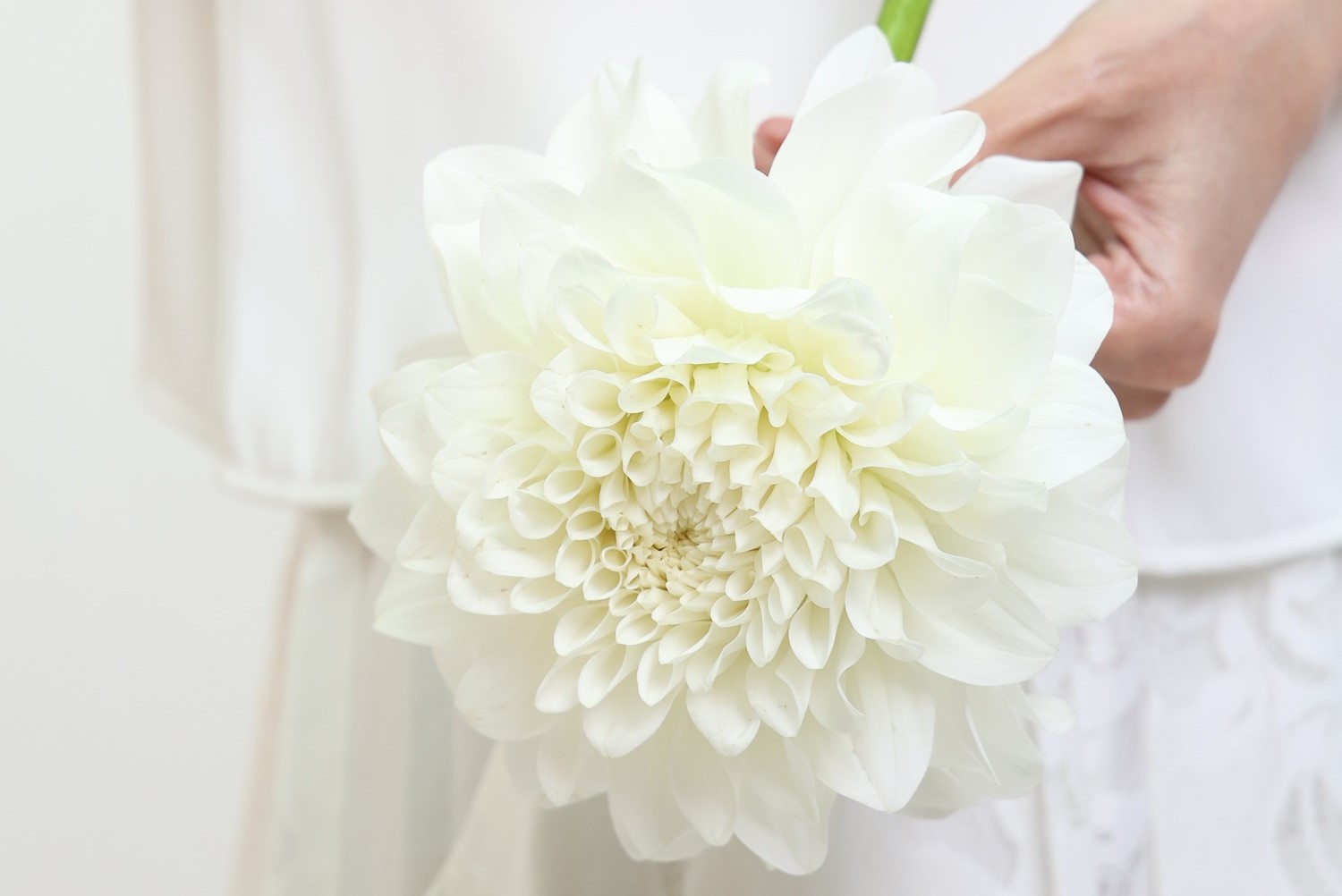 ホウ酸は細菌性膣炎の治療に効果がありますか?