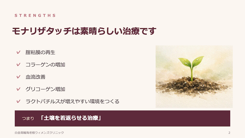 レーザーだけでは足りない理由セミナー資料２